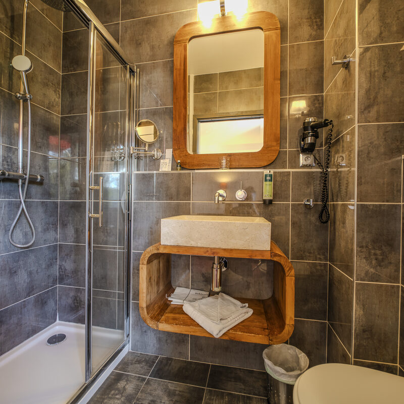 Chambre Single Confort : salle de bains avec douche, Manoir de Sauvegrain