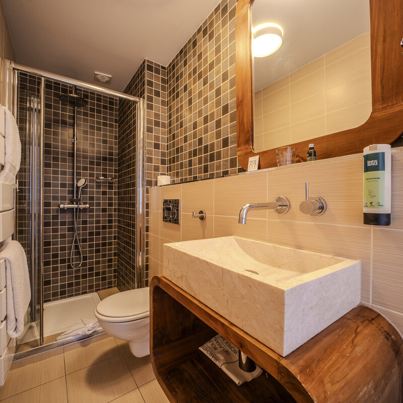 Chambre Single Rez-de-jardin : salle de bains avec douche, Manoir de Sauvegrain